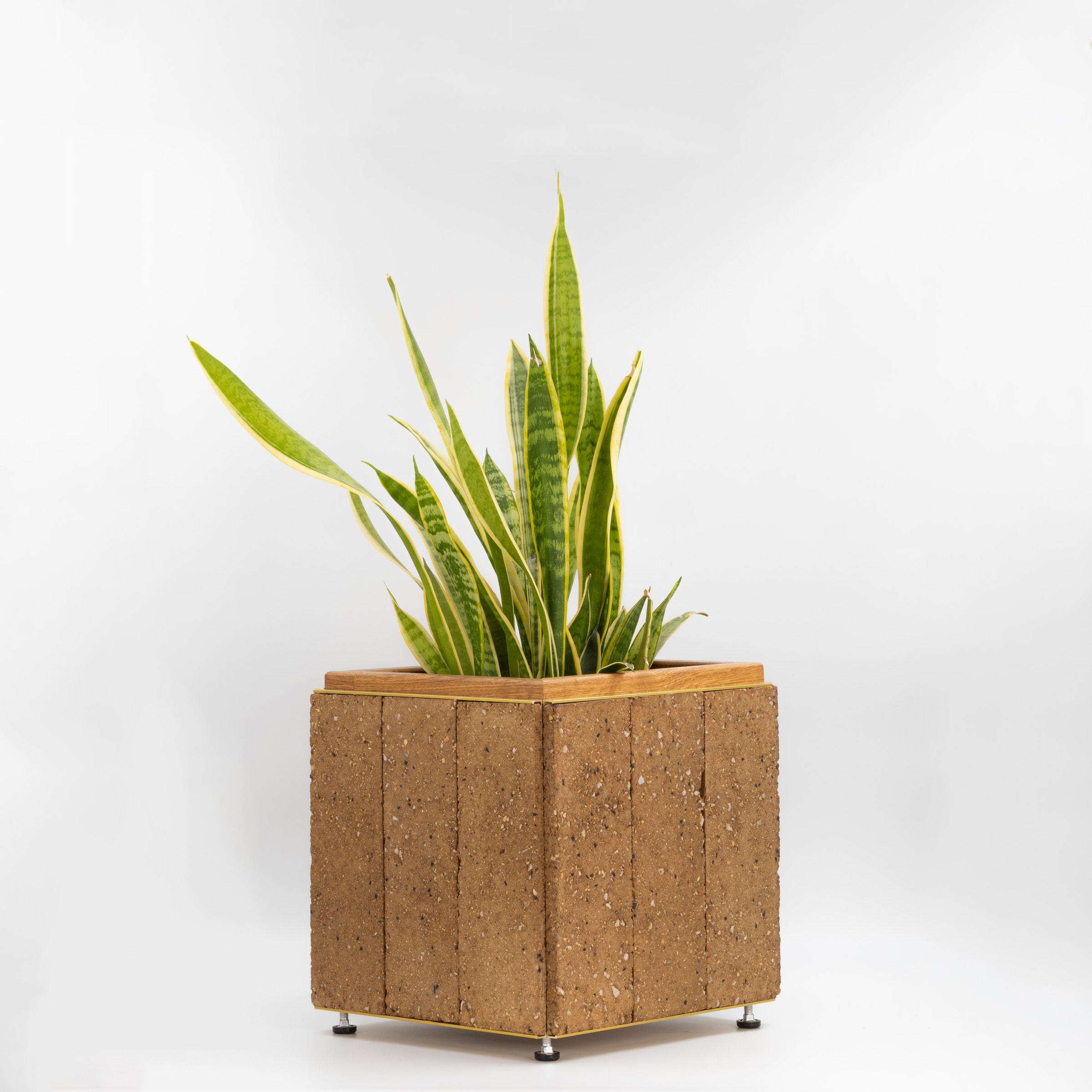 mudKlub Kubus mit Pflanze